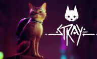 بازیکنان همزمان بازی Stray استری