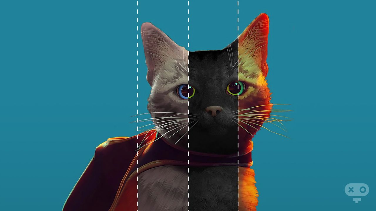 ماد Cat Custumisation