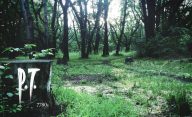 Silent-Hill-PT