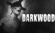 بازی Darkwood پلی استیشن 5