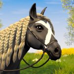 Star Equestrian