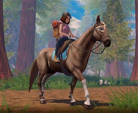 Star Equestrian