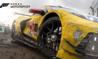 نسخه کامپیوتر Forza Motorsport