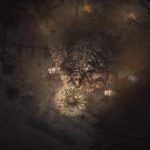 بازی Darkwood