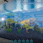 بازی Aquarist