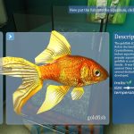 بازی Aquarist