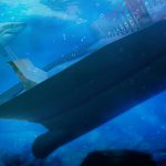 دانلود بازی VR Abyss Sharks & Sea Worlds برای اندروید