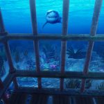 دانلود بازی VR Abyss Sharks & Sea Worlds برای اندروید