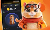 آموزش همستر کامبت Hamster Kombat