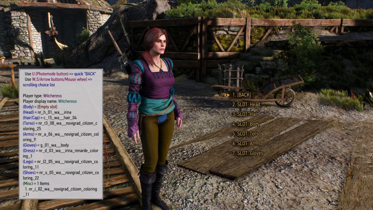 ماد ویچر 3 بازی The Witcher 3