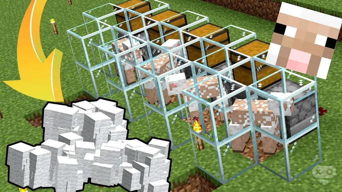 فارم پشم در بازی Minecraft
