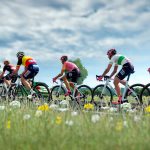 بازی Tour de France 2024