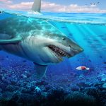دانلود بازی Fishing Master برای اندروید