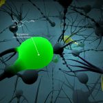 دانلود بازی InMind 2 VR برای اندروید