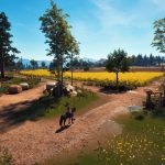 Windstorm Start of a Great Friendship Remastered