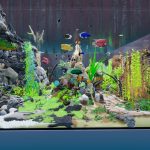 بازی Fish Game