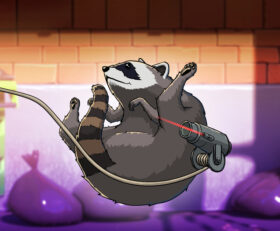 Raccoon Roller