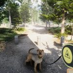 بازی Animal Shelter