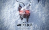 تصویر بازی The Witcher 4