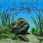 بازی Behind Glass Aquarium Simulator
