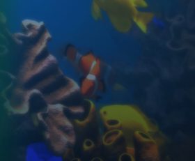 Behind Glass Aquarium Simulator