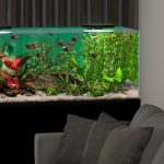 بازی Behind Glass Aquarium Simulator