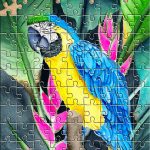 دانلود بازی Jigsaw Puzzles HD Puzzle Games برای اندروید