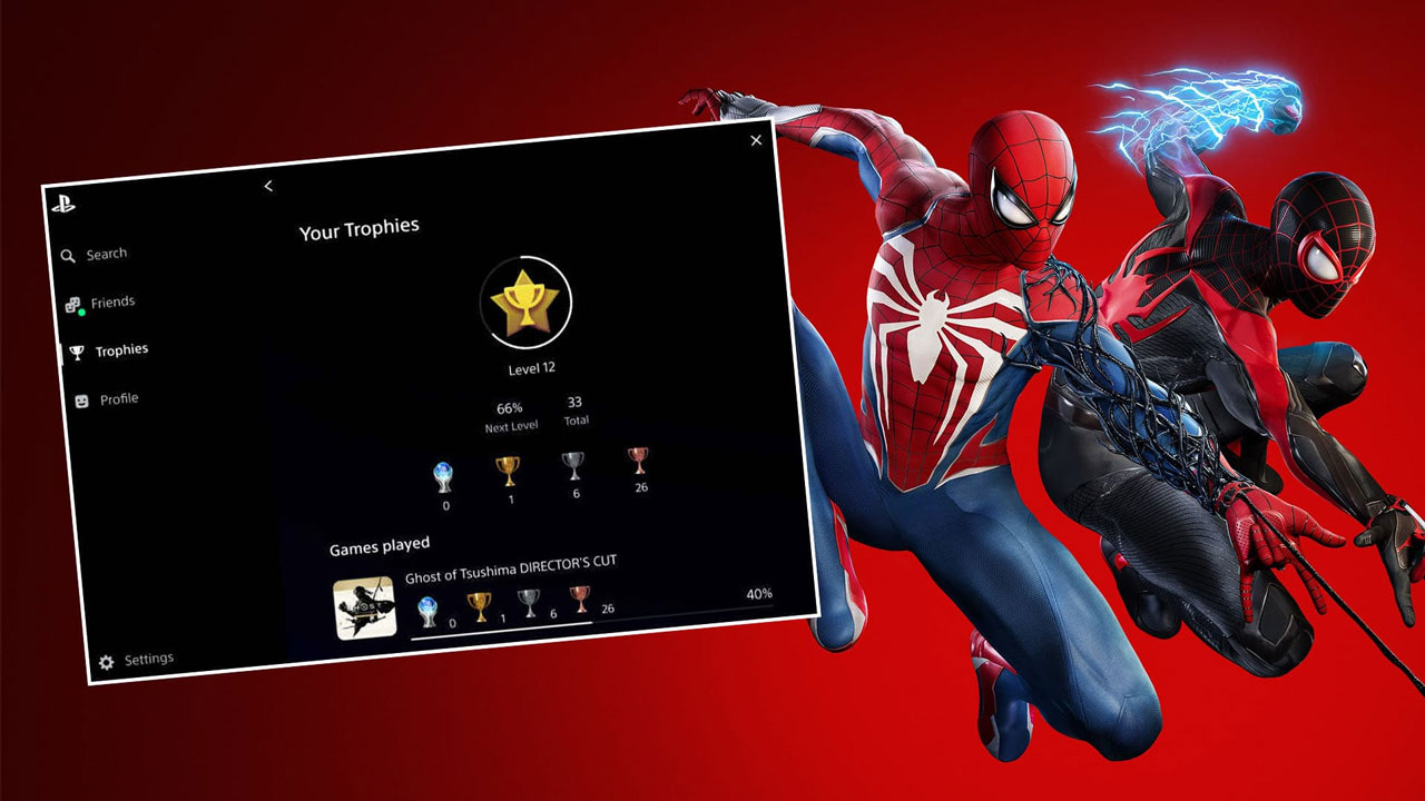 پلی استیشن کامپیوتر PSN