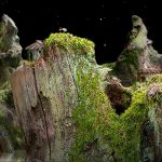 دانلود بازی Samorost برای اندروید