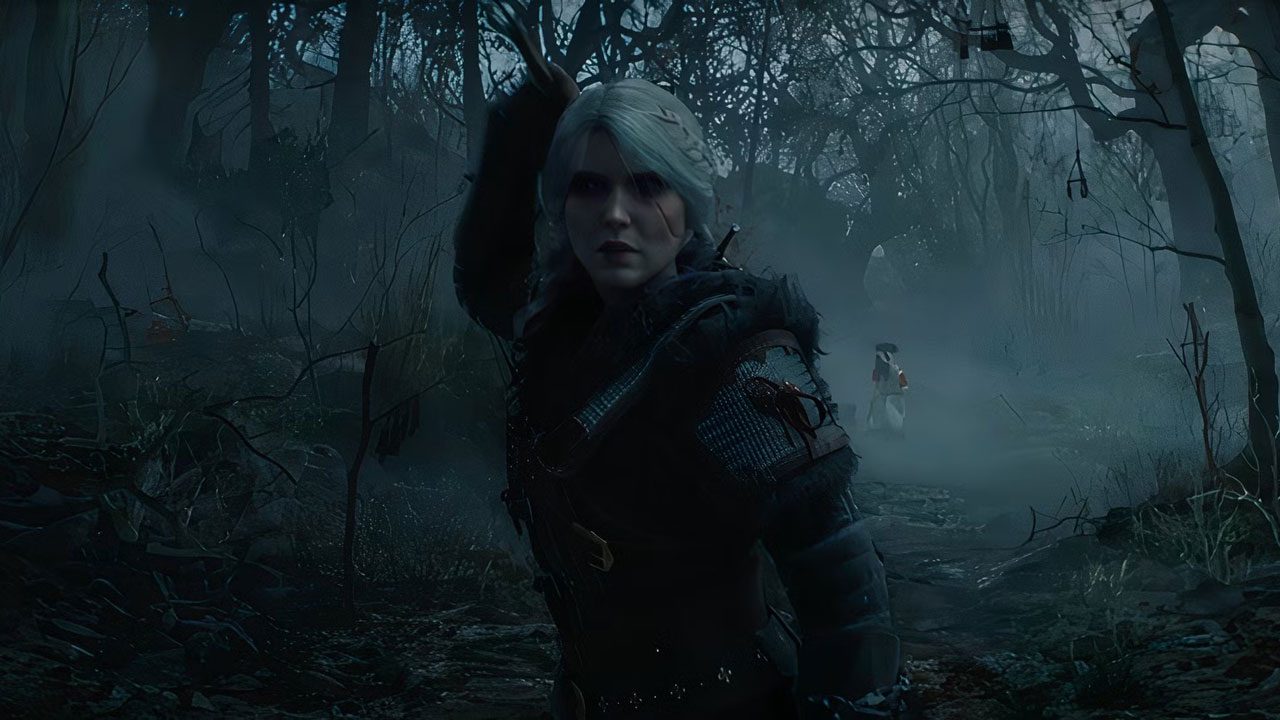 کارت گرافیک تریلر The Witcher 4