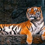 دانلود بازی Magic Jigsaw Puzzles برای اندروید