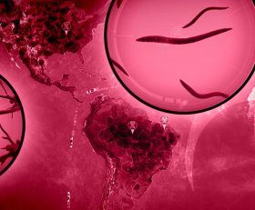 Plague Inc Evolved