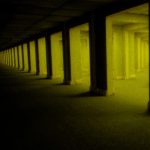 بازی The Backrooms Mass Extinction
