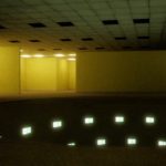 بازی The Backrooms Mass Extinction