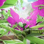 بازی Nature And Life
