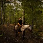 بازی Animal Simulator