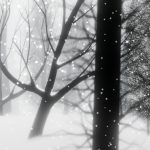 بازی Into A Dream