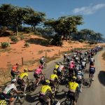 بازی Pro Cycling Manager 2025