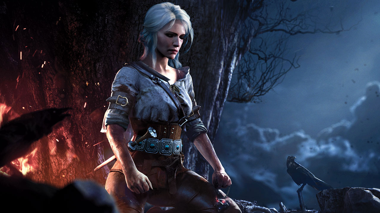 گیم پلی بازی The Witcher 4