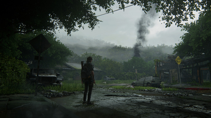 The Last of Us Part II Wallpaper 4K