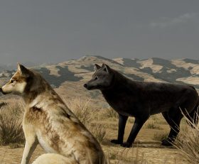 WolfQuest Anniversary Edition