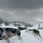 بازی WolfQuest Anniversary Edition