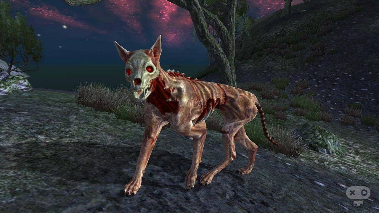 بهترین همراهان در بازی The Elder Scrolls Oblvion
