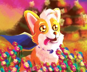 A Corgis Cozy Hike