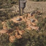 بازی Project Hunt Lone Star Hunting Ranch