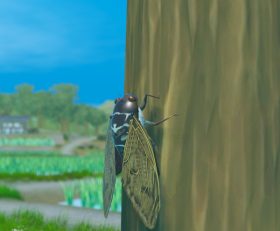 CICADA
