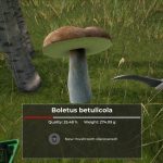 بازی Mushroom Hunter World