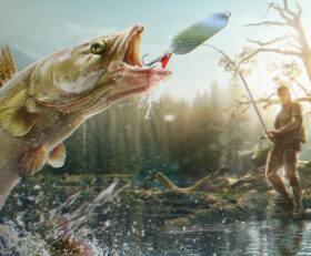Professional Fishing 2