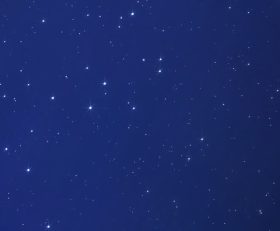Space Cows