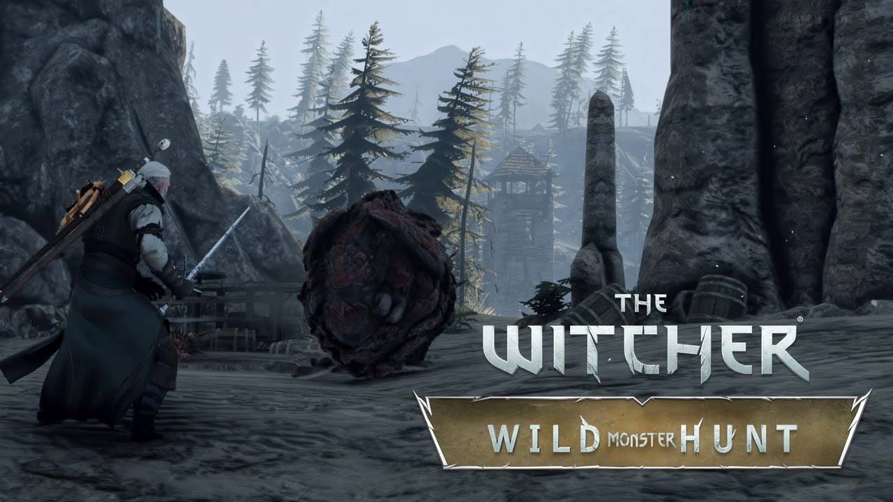 ماد بازی بسته الحاقی The Witcher 3